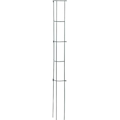Siena Garden, Pflanzen Zubehör, Gemüse Rankturm (110 cm, 11 cm) Siena Garden, Pflanzen Zubehör, Gemüse Rankturm (110 cm, 11 cm)