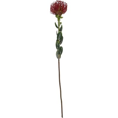 present time, Kunstpflanzen, Protea Flower Large (73.10 cm) present time, Kunstpflanzen, Protea Flower Large (73.10 cm)