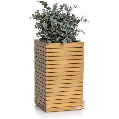 Lechuza, Blumentopf, Vaso per Piante in Legno Naturale (44 x 44 x 77 cm) Lechuza, Blumentopf, Vaso per Piante in Legno Naturale (44 x 44 x 77 cm)