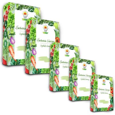 Samen, TORAF SAATGUT-SET - SET 5X5 2024 TORAF 60X1STK (Gemüsesamen) Samen, TORAF SAATGUT-SET - SET 5X5 2024 TORAF 60X1STK (Gemüsesamen)