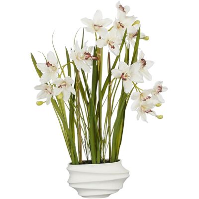 Mica Decorations, Kunstpflanzen, Cymbidium In Topf creme - l49xb40xh81cm (81 cm) Mica Decorations, Kunstpflanzen, Cymbidium In Topf creme - l49xb40xh81cm (81 cm)