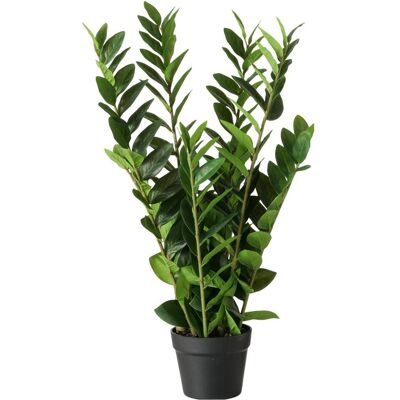 Boltze Home, Kunstpflanzen, Zamioculcas (76 cm) Boltze Home, Kunstpflanzen, Zamioculcas (76 cm)