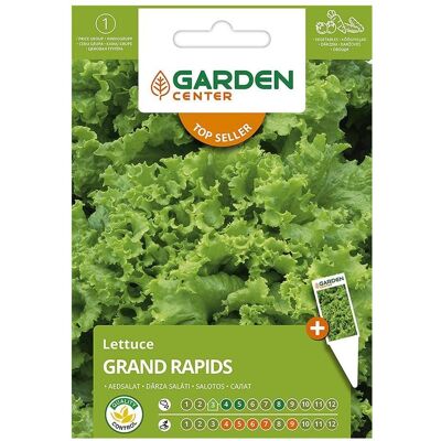Garden Center, Samen, Seeding Lettuce Seeds Grand Rapids (Gemüsesamen) Garden Center, Samen, Seeding Lettuce Seeds Grand Rapids (Gemüsesamen)