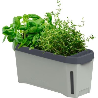 Gusta Garden, Blumentopf, Harry Herbes (15 x 35.80 x 16 cm) Gusta Garden, Blumentopf, Harry Herbes (15 x 35.80 x 16 cm)