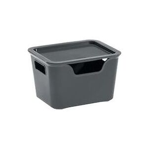 Cep, Aufbewahrungsbox, Ablagebox +Deckel Bella 1,9L anthrazit (14 cm, 1.90 l) Cep, Aufbewahrungsbox, Ablagebox +Deckel Bella 1,9L anthrazit (14 cm, 1.90 l)