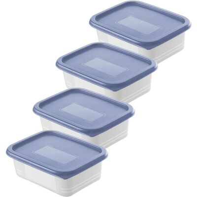 Rotho Gefrierdosen Set Domino, Vorratsbehälter, Blau Rotho Gefrierdosen Set Domino, Vorratsbehälter, Blau