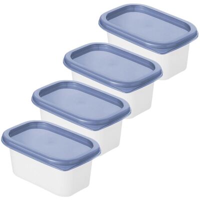 Rotho Gefrierdosen Domino, Vorratsbehälter, Blau Rotho Gefrierdosen Domino, Vorratsbehälter, Blau