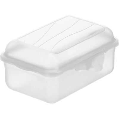 Rotho Fun, Lunchbox, Transparent Rotho Fun, Lunchbox, Transparent