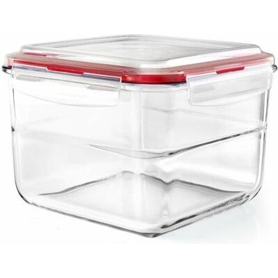 Ibili Behälter XL 19.50 x 19.50 x 11 cm Perfekt für grosse Portionen, Vorratsbehälter, Transparent Ibili Behälter XL 19.50 x 19.50 x 11 cm Perfekt für grosse Portionen, Vorratsbehälter, Transparent