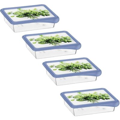 Rotho Set Gefrierdosen Kräuter, Vorratsbehälter, Blau, Transparent Rotho Set Gefrierdosen Kräuter, Vorratsbehälter, Blau, Transparent