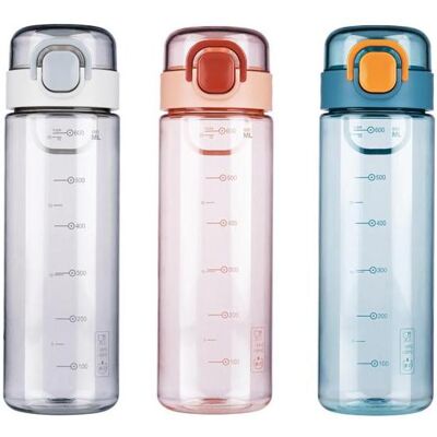Alpina 600ml Wasserflasche - Hydration unterwegs Alpina 600ml Wasserflasche - Hydration unterwegs