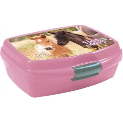 Derform Konie 24 Frühstücksbox, Lunchbox, Mehrfarbig Derform Konie 24 Frühstücksbox, Lunchbox, Mehrfarbig