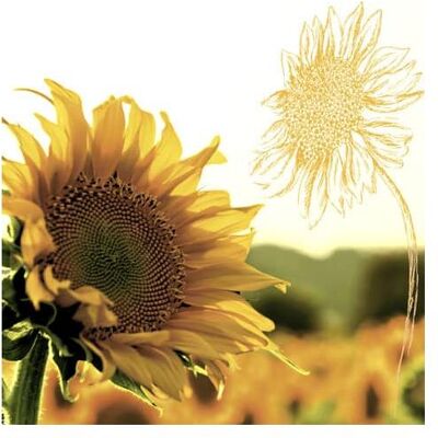Magni, Servietten, Serviette 33x33cm FSC-Mix Dusk Sunflower (33 x 33 cm) Magni, Servietten, Serviette 33x33cm FSC-Mix Dusk Sunflower (33 x 33 cm)
