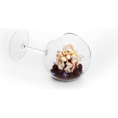 100% Chef 160/0017, Weingläser, Transparent 100% Chef 160/0017, Weingläser, Transparent