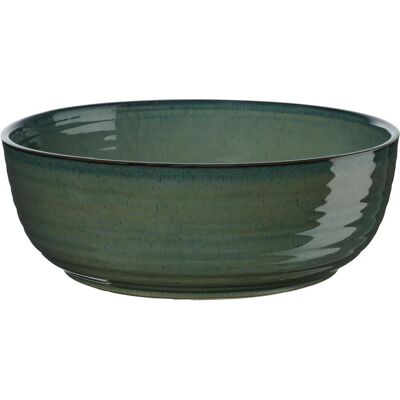ASA Selection ASA poké Salad Bowl ocean 25cm, Schüssel + Schale, Grün ASA Selection ASA poké Salad Bowl ocean 25cm, Schüssel + Schale, Grün