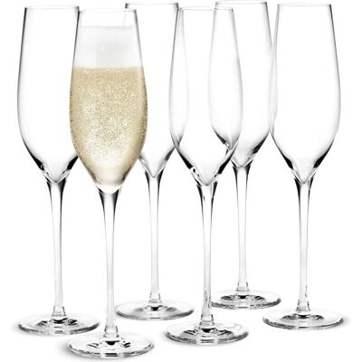 Holmegaard Cabernet Champagne glass - 29 cl - Box of 6, Weingläser, Transparent Holmegaard Cabernet Champagne glass - 29 cl - Box of 6, Weingläser, Transparent