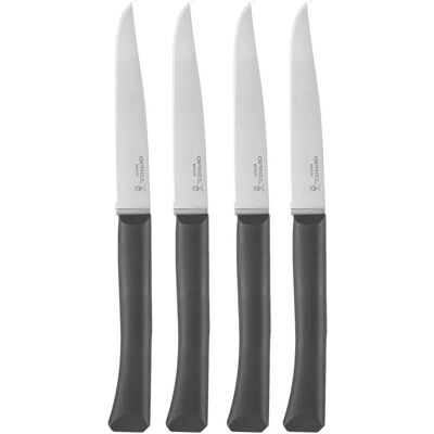 Opinel Micro-Zahnmesser-Set - 4 Stück - Edelstahl - Frankreich Opinel Micro-Zahnmesser-Set - 4 Stück - Edelstahl - Frankreich