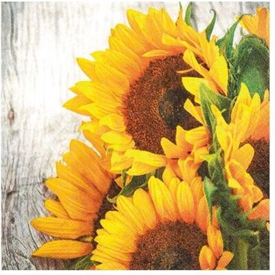 Magni, Servietten, Motivserviette (20 Stk., 33 x 33 cm) Magni, Servietten, Motivserviette (20 Stk., 33 x 33 cm)