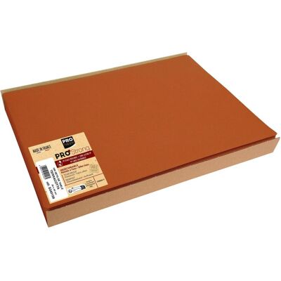 PROnappe, Tischset, 100 Platzsets orange 30,0 x 40,0 cm (1 Stk., 40 x 30 cm) PROnappe, Tischset, 100 Platzsets orange 30,0 x 40,0 cm (1 Stk., 40 x 30 cm)