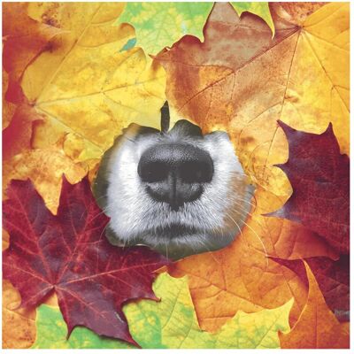 Paper + Design, Servietten, Motivserviette 33x33cm Herbst (20 Stk., 33 x 33 cm) Paper + Design, Servietten, Motivserviette 33x33cm Herbst (20 Stk., 33 x 33 cm)