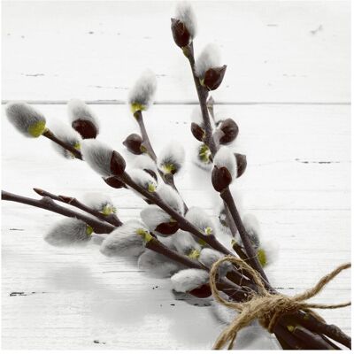 Paper + Design, Servietten, Papierservietten Wild Willow 20 Stück (20 Stk., 33 x 33 cm) Paper + Design, Servietten, Papierservietten Wild Willow 20 Stück (20 Stk., 33 x 33 cm)