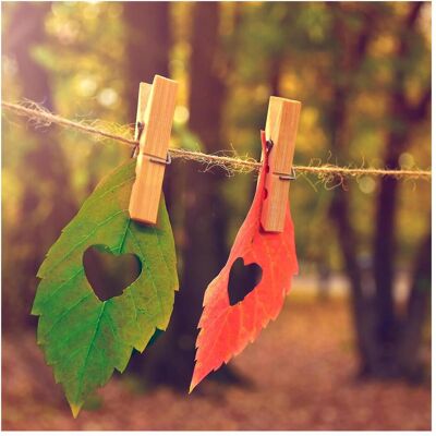 Paper + Design, Servietten, Papierservietten Love Fall 33 cm x 33 cm, 20 Stück (20 Stk., 33 x 33 cm) Paper + Design, Servietten, Papierservietten Love Fall 33 cm x 33 cm, 20 Stück (20 Stk., 33 x 33 cm)
