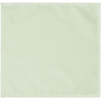 Partydeco, Servietten, Salbei Stoffservietten 35x35cm 25 Stk (25 Stk., 35 x 35 cm) Partydeco, Servietten, Salbei Stoffservietten 35x35cm 25 Stk (25 Stk., 35 x 35 cm)