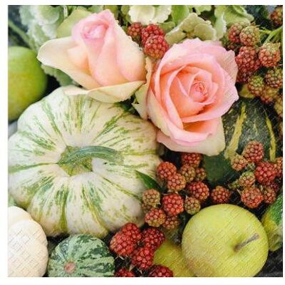 Stewo, Servietten, Gerda (20 Stk., 33 x 33 cm) Stewo, Servietten, Gerda (20 Stk., 33 x 33 cm)