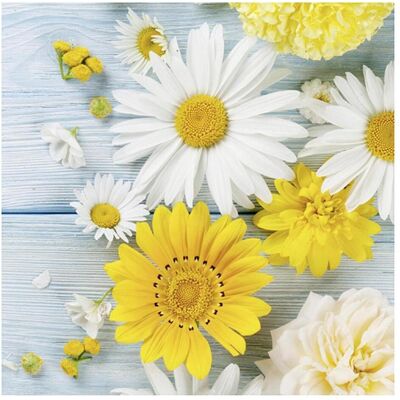 Ti-flair, Servietten, Serviette (20 Stk., 33 x 33 cm) Ti-flair, Servietten, Serviette (20 Stk., 33 x 33 cm)