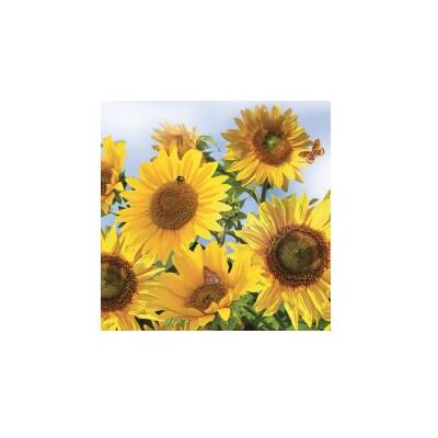 Procos, Servietten, Sunflowers In the Sky Servietten 20 Stück 33x33 cm (20 Stk., 33 x 33 cm) Procos, Servietten, Sunflowers In the Sky Servietten 20 Stück 33x33 cm (20 Stk., 33 x 33 cm)