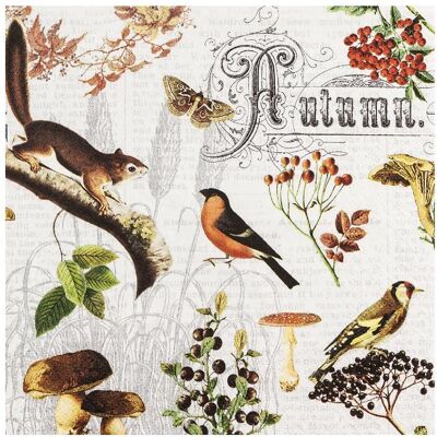 Homefashion, Servietten, Herbst Collage (20 Stk., 33 x 33 cm) Homefashion, Servietten, Herbst Collage (20 Stk., 33 x 33 cm)