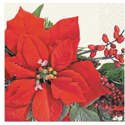 Magni, Servietten, Weihnachts (20 Stk., 33 x 33 cm) Magni, Servietten, Weihnachts (20 Stk., 33 x 33 cm)