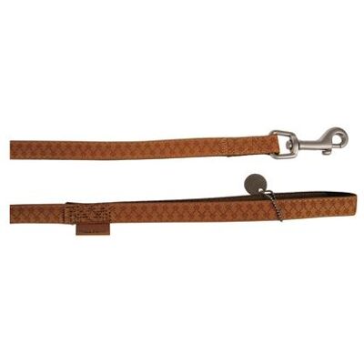 ZOLUX Hundeleine - 15 mm x 120 cm - Gelb/Bra ZOLUX Hundeleine - 15 mm x 120 cm - Gelb/Bra
