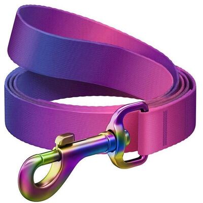 Waudog Lila Gradient Nylon Hundeleine - M Waudog Lila Gradient Nylon Hundeleine - M