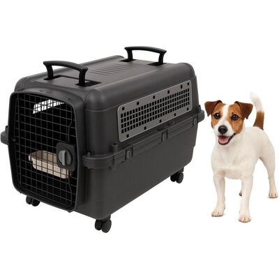 Flamingo Reise-Bankhund, Tiertransport Flamingo Reise-Bankhund, Tiertransport