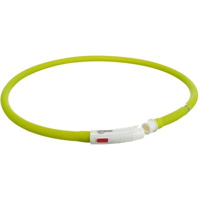 Trixie Flash Leuchtring USB (S, XS, Hund), Halsband + Leine Trixie Flash Leuchtring USB (S, XS, Hund), Halsband + Leine
