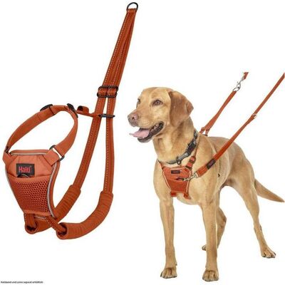 Company of Animals Anti-Zug Hundegeschirr (XS, Hund, Spazieren), Halsband + Leine Company of Animals Anti-Zug Hundegeschirr (XS, Hund, Spazieren), Halsband + Leine