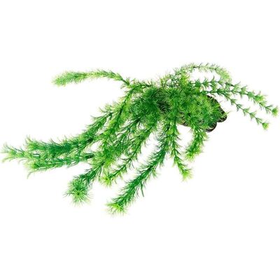Hobby Kunstpflanze Flora Root 3, L, 30 cm (Dekoration, Pflanzen), Aquarium Dekoration Hobby Kunstpflanze Flora Root 3, L, 30 cm (Dekoration, Pflanzen), Aquarium Dekoration