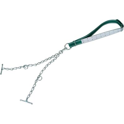 Kerbl Jungbullenanb. kompl, Kette 6mm, dopp, mit Karabiner (Allgemein), Halsband + Leine Kerbl Jungbullenanb. kompl, Kette 6mm, dopp, mit Karabiner (Allgemein), Halsband + Leine