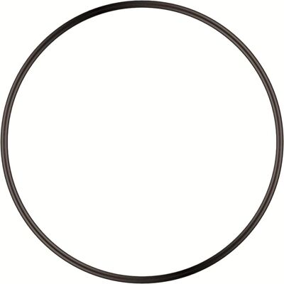 Sera O-Ring-Dichtung für PS 130, Aquariumtechnik Sera O-Ring-Dichtung für PS 130, Aquariumtechnik