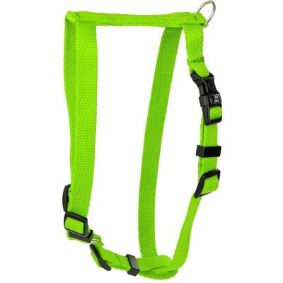 Barry King Classic szelki dla psa, limonkowy, XS-S, 10mm/30-40cmm (Hund), Halsband + Leine Barry King Classic szelki dla psa, limonkowy, XS-S, 10mm/30-40cmm (Hund), Halsband + Leine