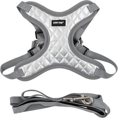 Barry King Zestaw, szelki+smycz, dla psa, srebrne, materiał nylon/PU, dł. smyczy 1,45m, rozmiar S (S, Hund), Halsband + Leine Barry King Zestaw, szelki+smycz, dla psa, srebrne, materiał nylon/PU, dł. smyczy 1,45m, rozmiar S (S, Hund), Halsband + Leine