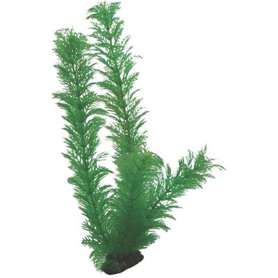 Aquaristik Dohse Grüne Künstliche Egeria Pflanze - Aquarien-Deko Aquaristik Dohse Grüne Künstliche Egeria Pflanze - Aquarien-Deko