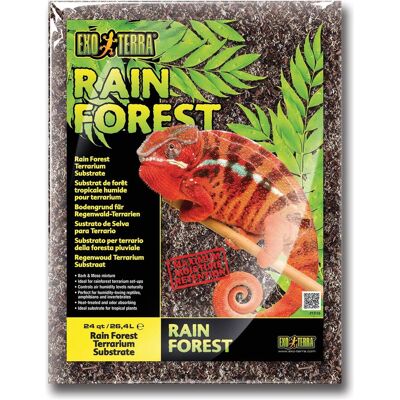 Exo Terra Rain Forest, Terrariumeinrichtung Exo Terra Rain Forest, Terrariumeinrichtung