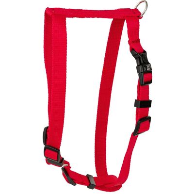 Dino Classic szelki dla psa, czerwona, S-M, 16mm/40-65cm (Hund), Halsband + Leine Dino Classic szelki dla psa, czerwona, S-M, 16mm/40-65cm (Hund), Halsband + Leine