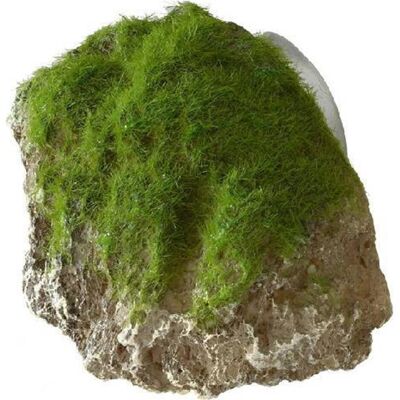 Europet S Moos Stein - Aquarium Dekoration Europet S Moos Stein - Aquarium Dekoration