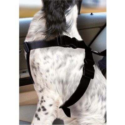 Karlie Flamingo (Hund), Tiertransport Karlie Flamingo (Hund), Tiertransport