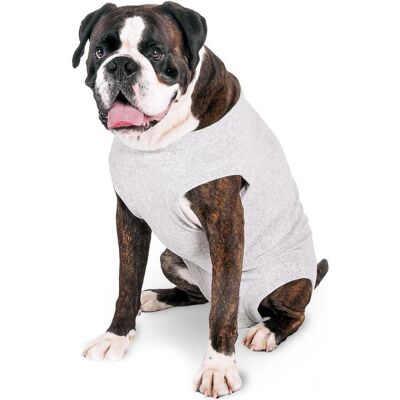 Karlie Safety Body für Hunde, grau (44, Hundeoverall), Hundebekleidung Karlie Safety Body für Hunde, grau (44, Hundeoverall), Hundebekleidung