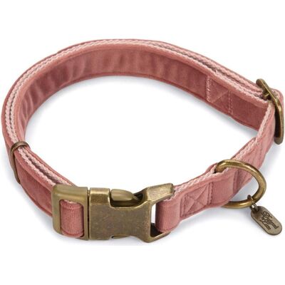 Designed by Lotte Velura (L, M, S, XL, Hund, Spazieren), Halsband + Leine Designed by Lotte Velura (L, M, S, XL, Hund, Spazieren), Halsband + Leine