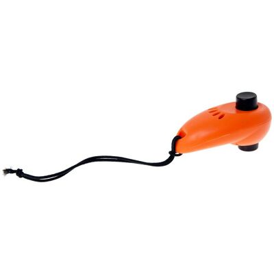Karlie Double Clicker (Agility, Erziehung), Agility Karlie Double Clicker (Agility, Erziehung), Agility